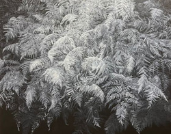 Lindy  Sale | Lethbridge Gallery